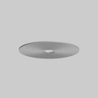 DISC 250