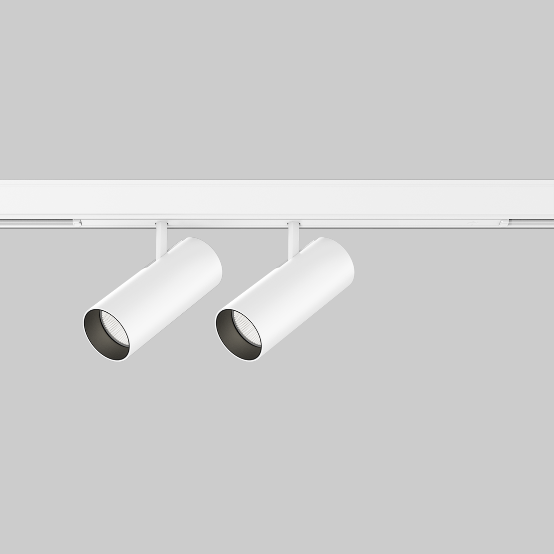 BO 55 intrack 2 lamps