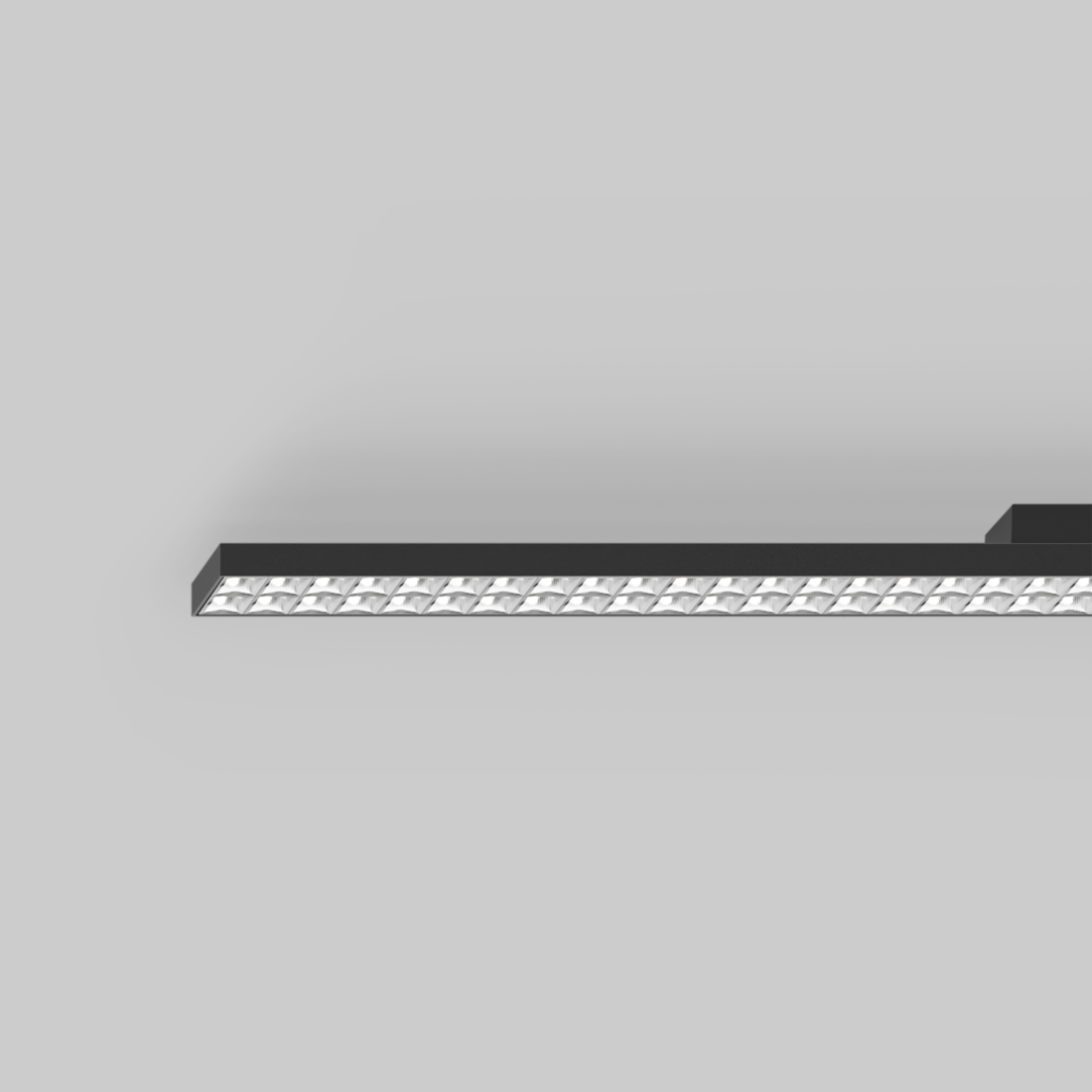 ENVIVA louver ceiling