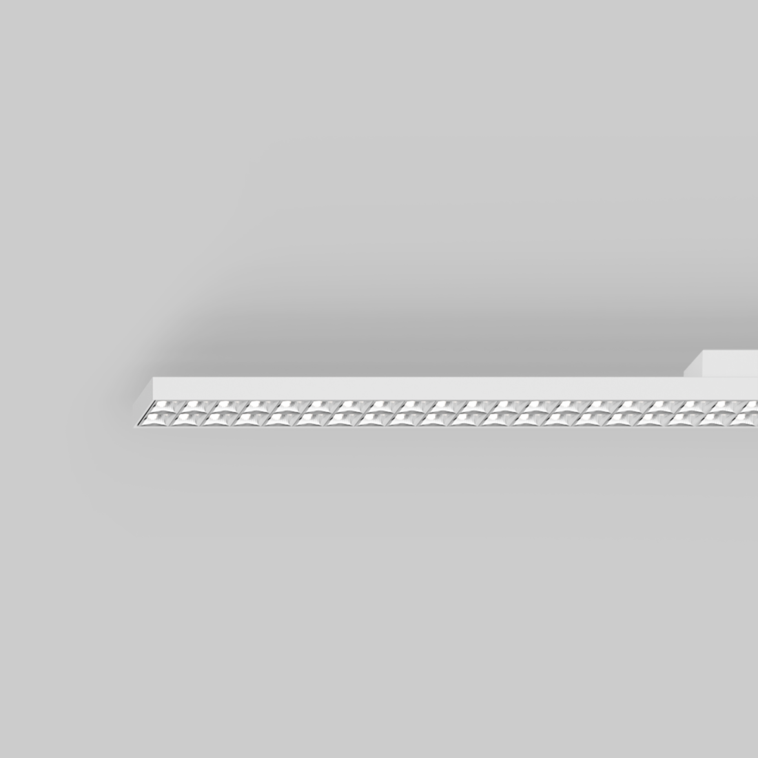 ENVIVA louver ceiling