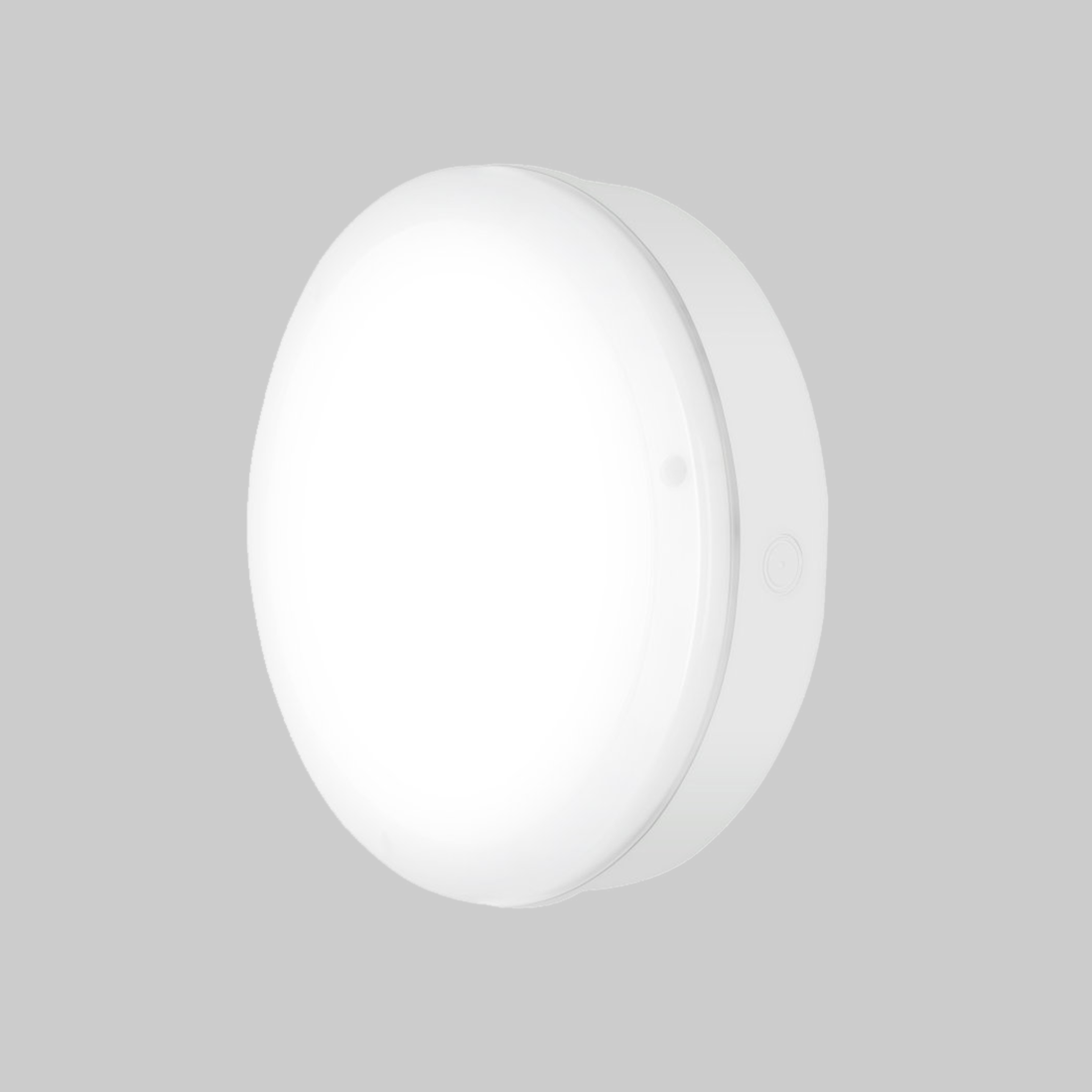 SURFACE BULKHEAD 300