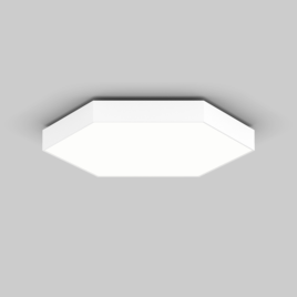 HEX-O 1000 ceiling