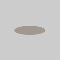 MINO CIRCLE ACOUSTIC 1000 inlay