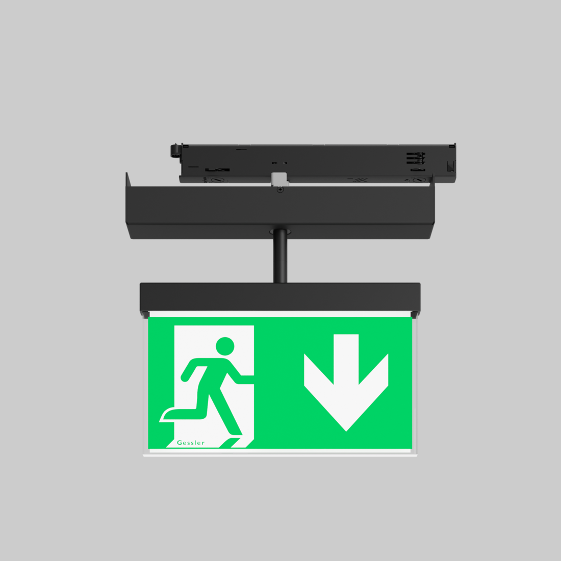 DISPLAY-RETTUNGSZEICHENLEUCHTE Gessler