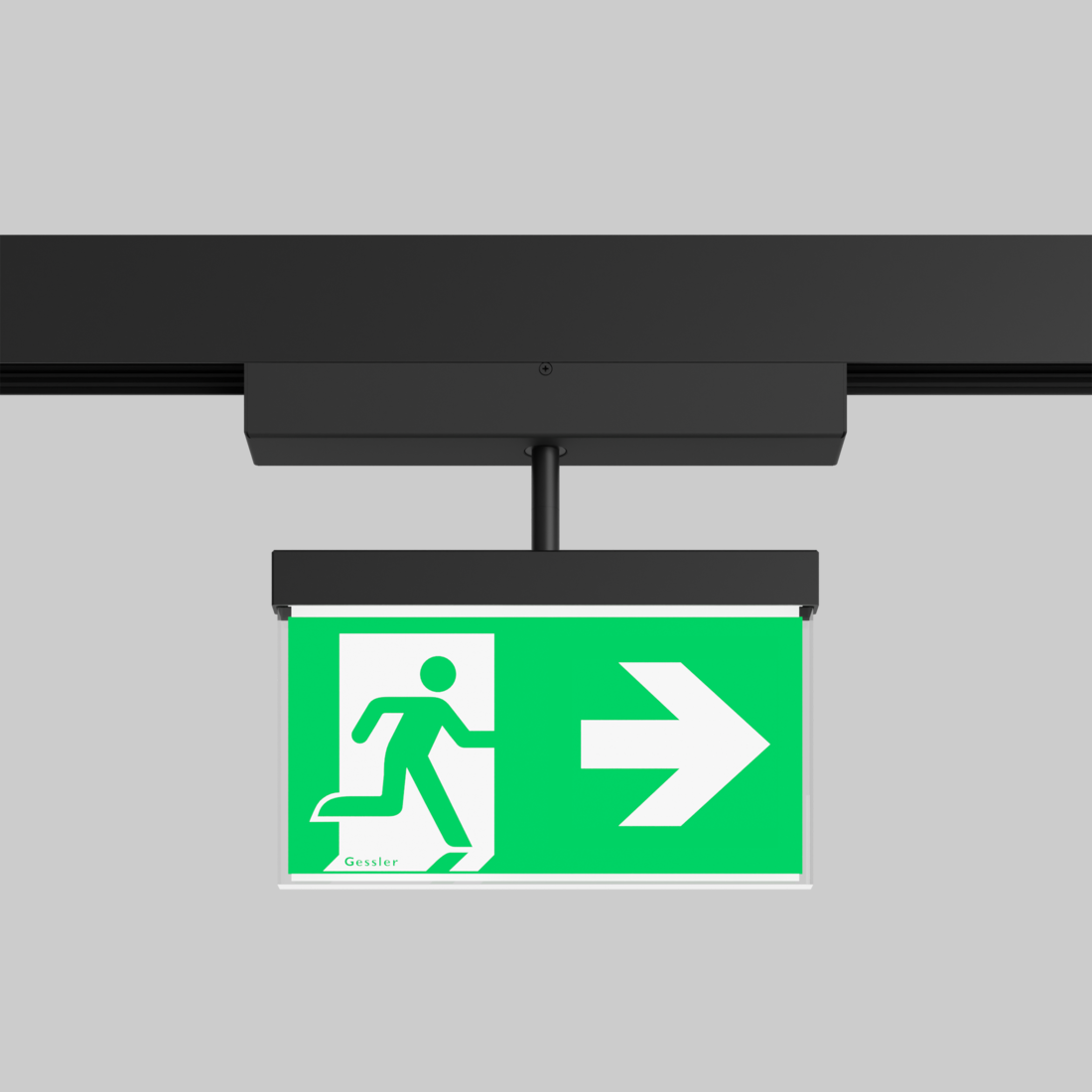 DISPLAY-RETTUNGSZEICHENLEUCHTE Gessler