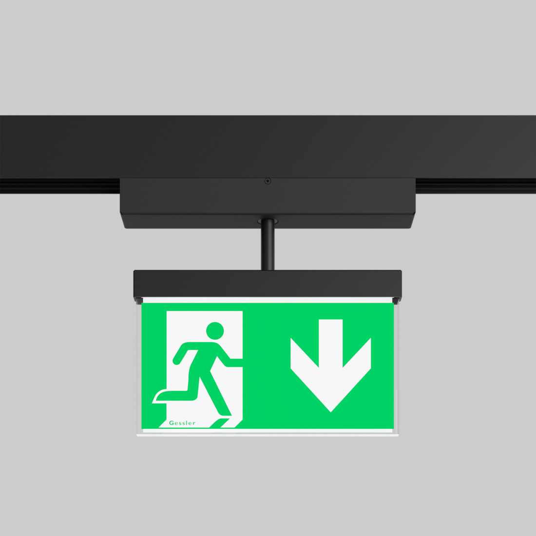 DISPLAY-RETTUNGSZEICHENLEUCHTE Gessler