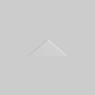 MOVE IT 25 ACOUSTIC triangle inlay