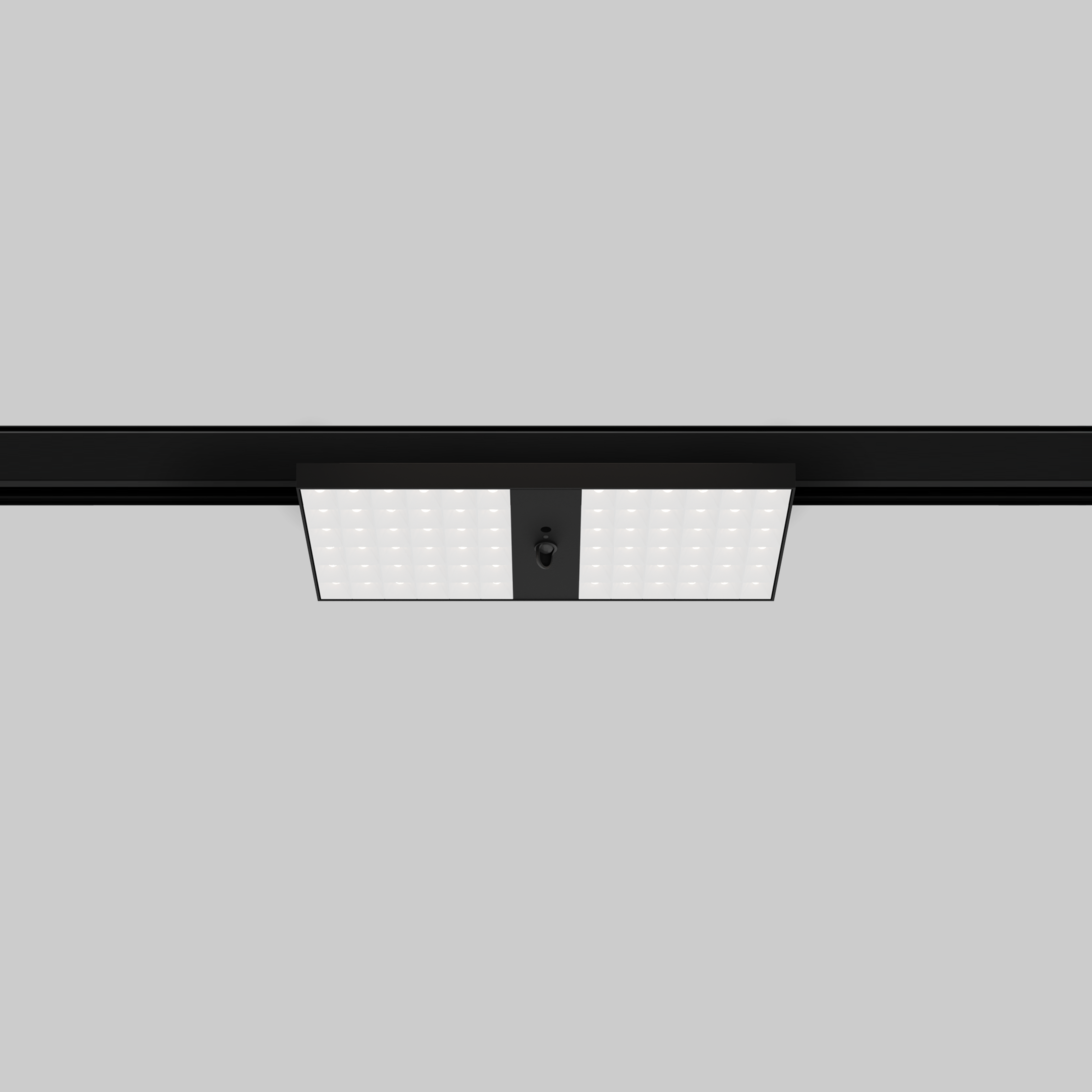 PARO medium spotline track