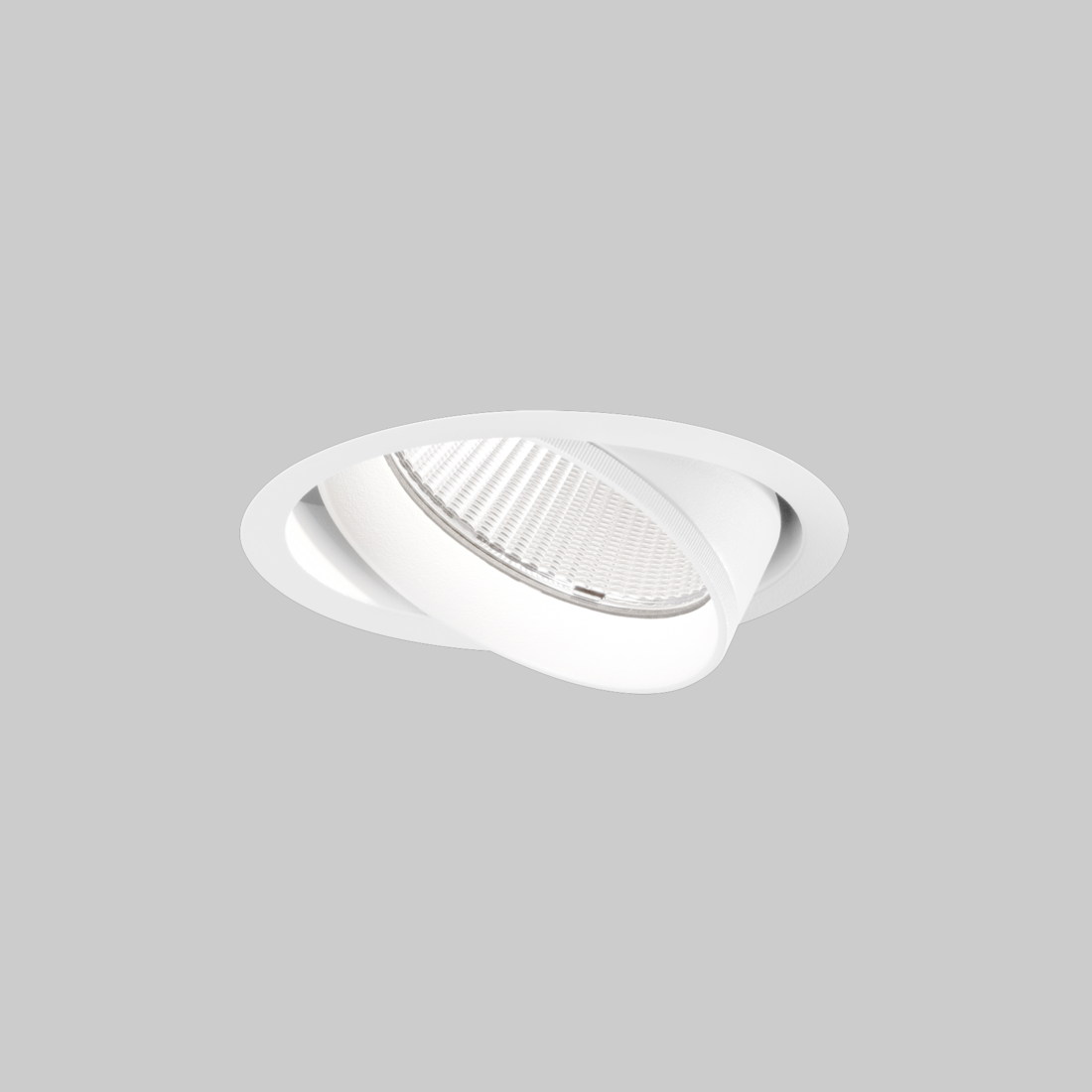 SASSO PRO 100 adjustable flush trimless, SASSO PRO 100 adjustable trimless exposed concrete
