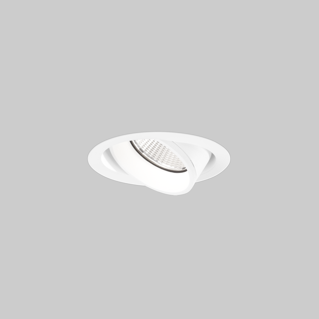 SASSO PRO 80 adjustable flush trimless