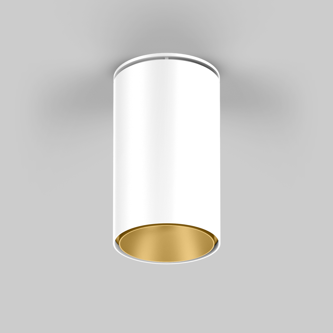 SASSO 100 round adjustable ceiling