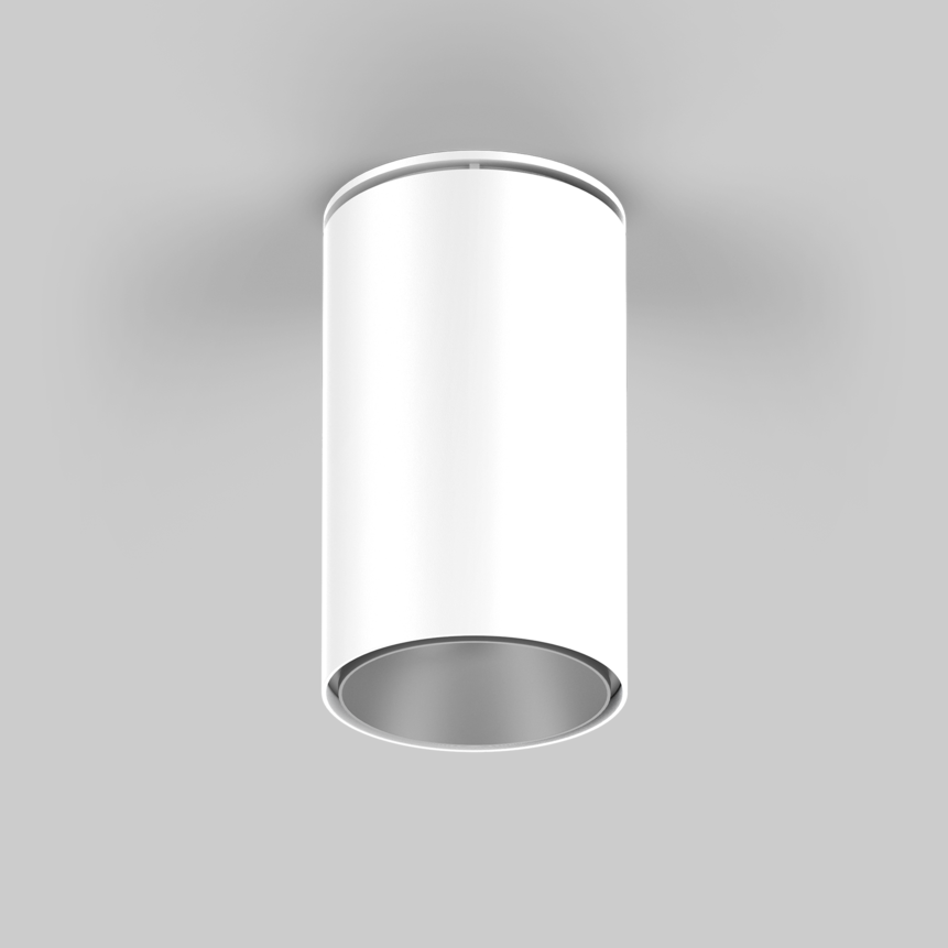 SASSO 100 round adjustable ceiling