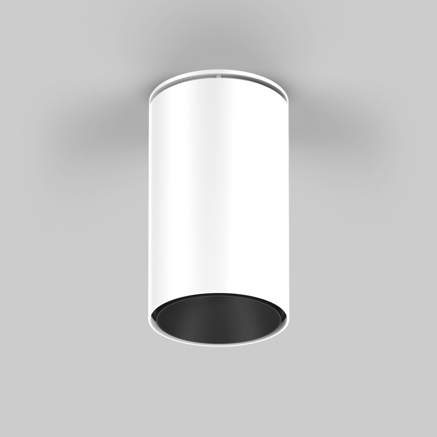 SASSO 100 round adjustable ceiling