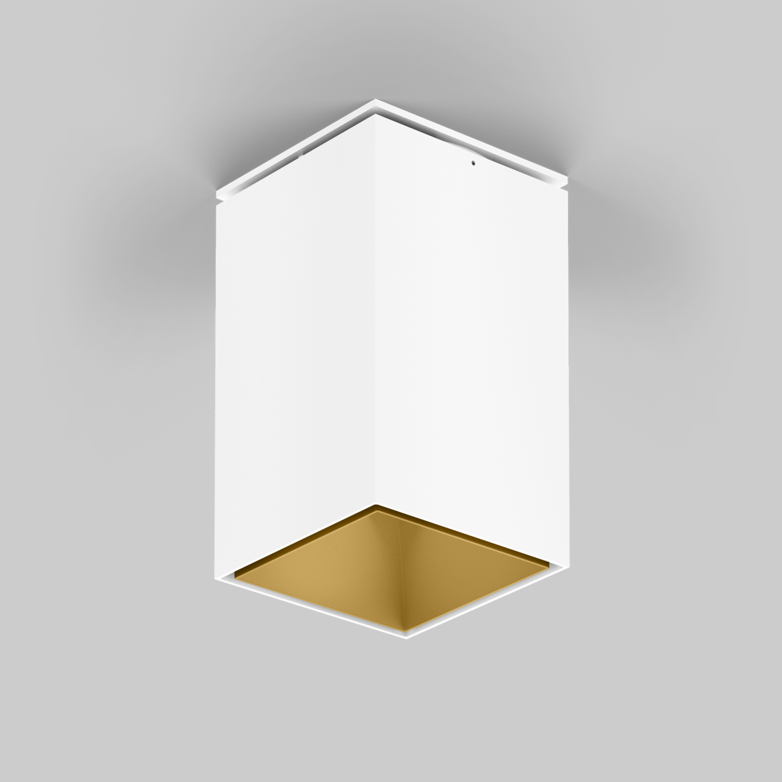 SASSO 100 square adjustable ceiling