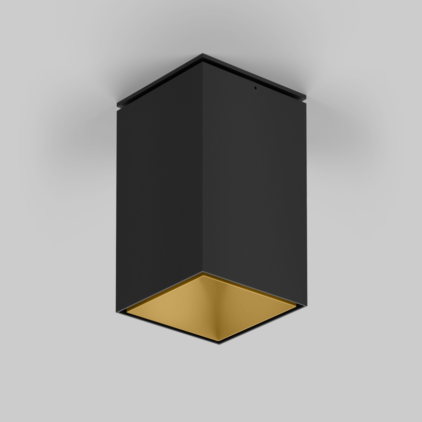 SASSO 100 square adjustable ceiling