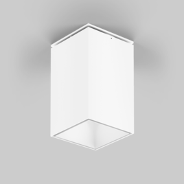 SASSO 100 square adjustable ceiling
