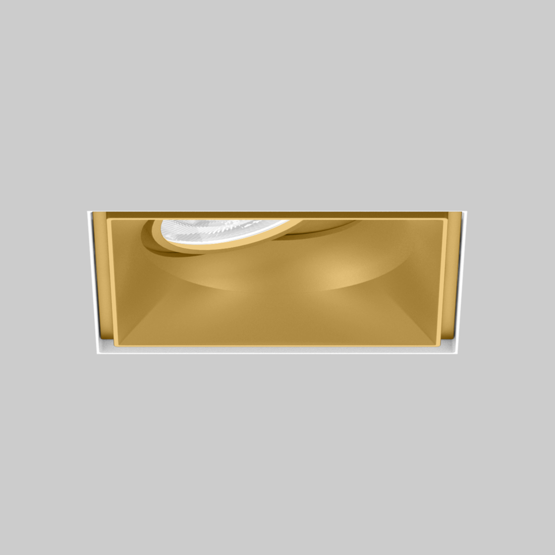 SASSO 100 square adjustable trimless