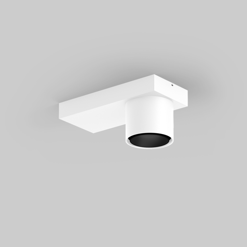 SASSO 60 base round adjustable 1 lamp ceiling