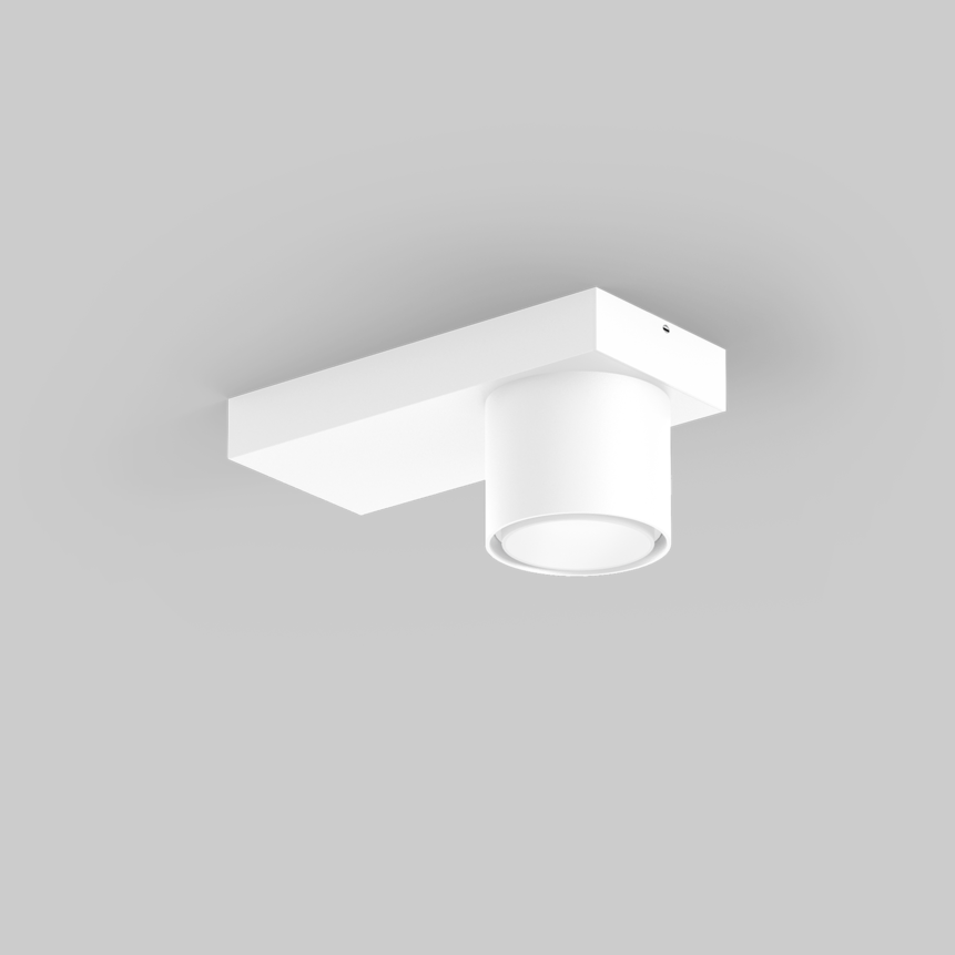 SASSO 60 base round adjustable 1 lamp ceiling