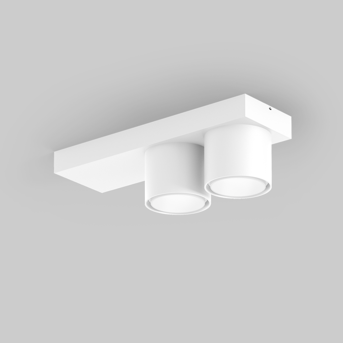 SASSO 60 base round adjustable 2 lamps ceiling