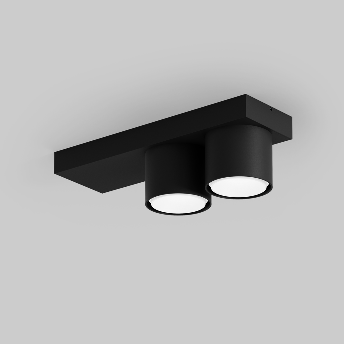 SASSO 60 base round adjustable 2 lamps ceiling