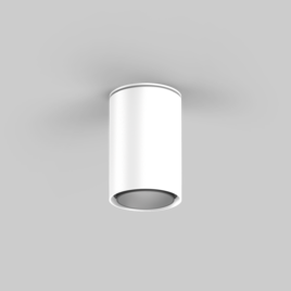 SASSO 60 round adjustable ceiling