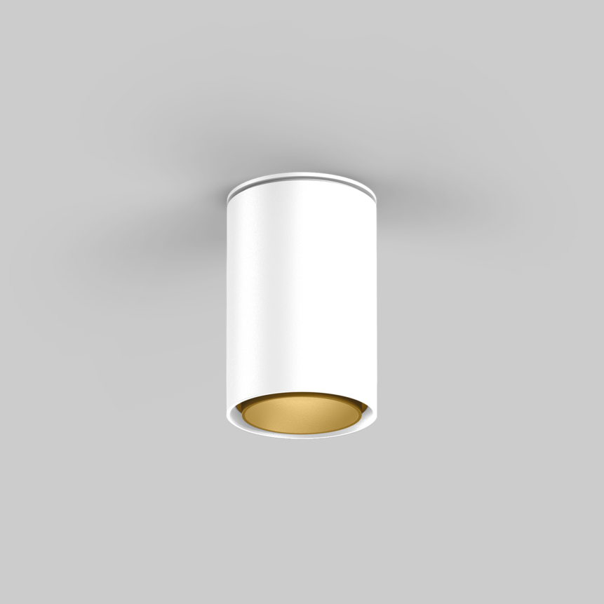 SASSO 60 round adjustable ceiling