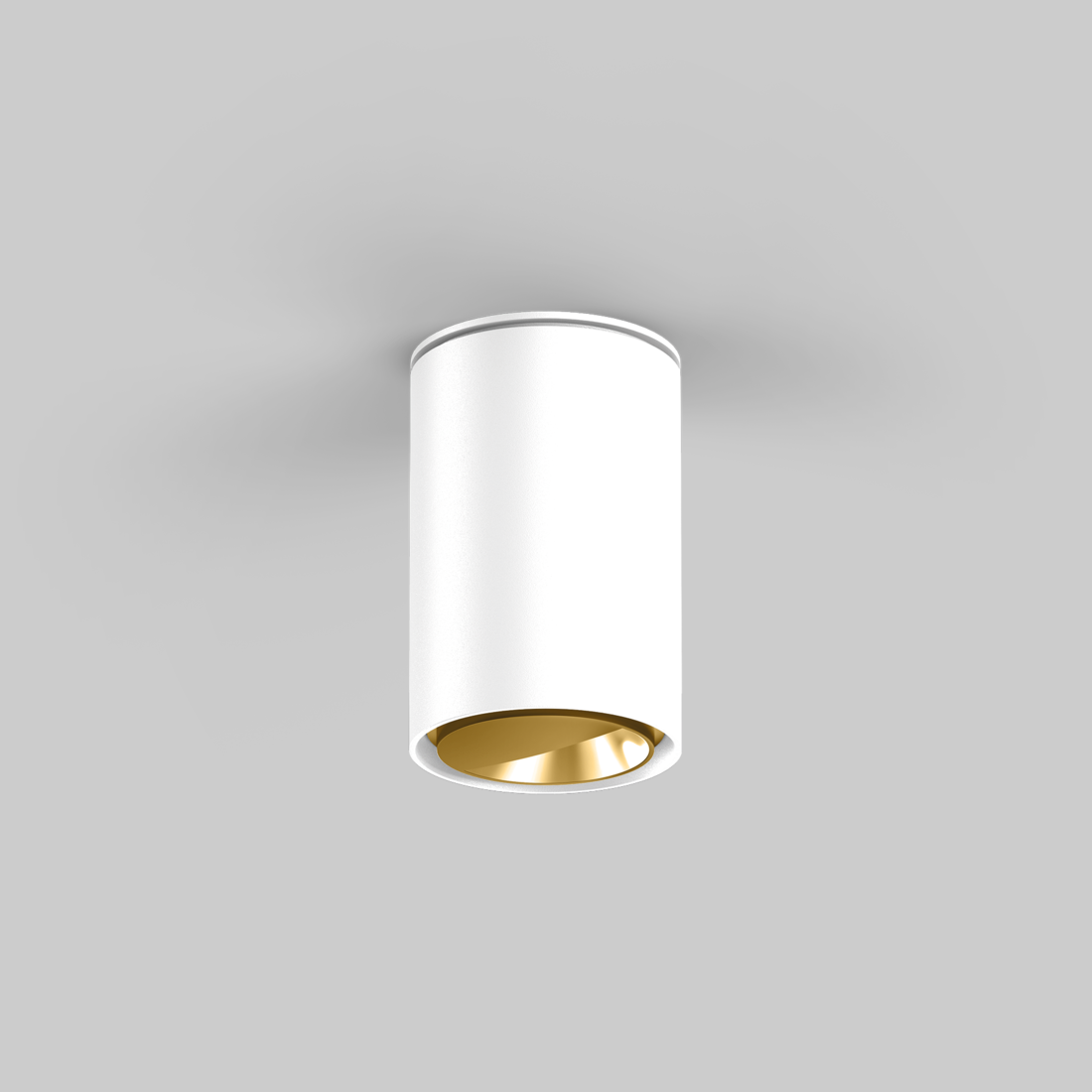 SASSO 60 round wallwasher ceiling