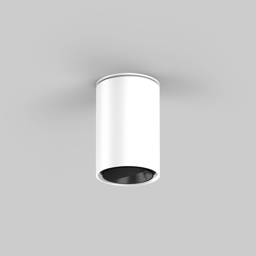 SASSO 60 round wallwasher ceiling