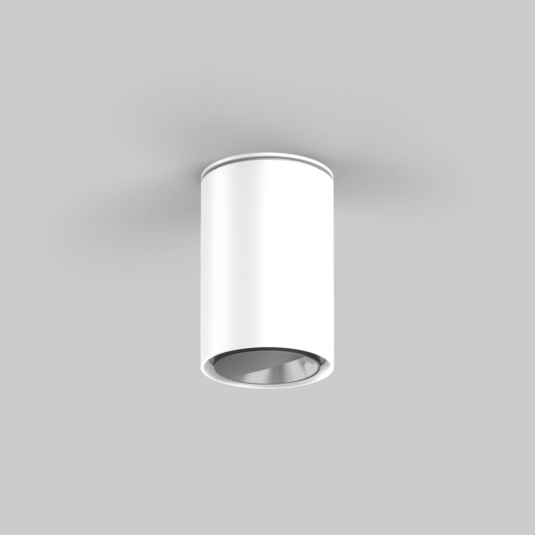 SASSO 60 round wallwasher ceiling