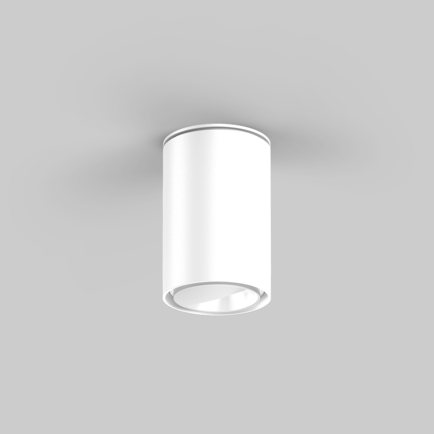 SASSO 60 round wallwasher ceiling