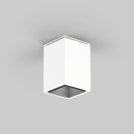 SASSO 60 square downlight ceiling