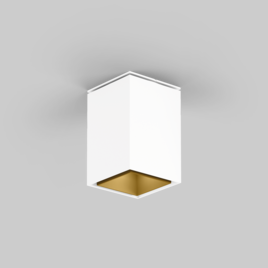 SASSO 60 square downlight ceiling