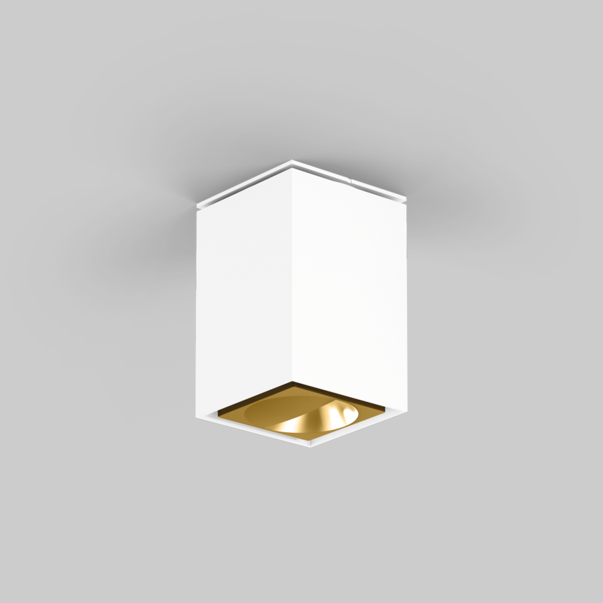 SASSO 60 square wallwasher ceiling