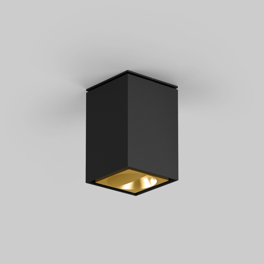 SASSO 60 square wallwasher ceiling