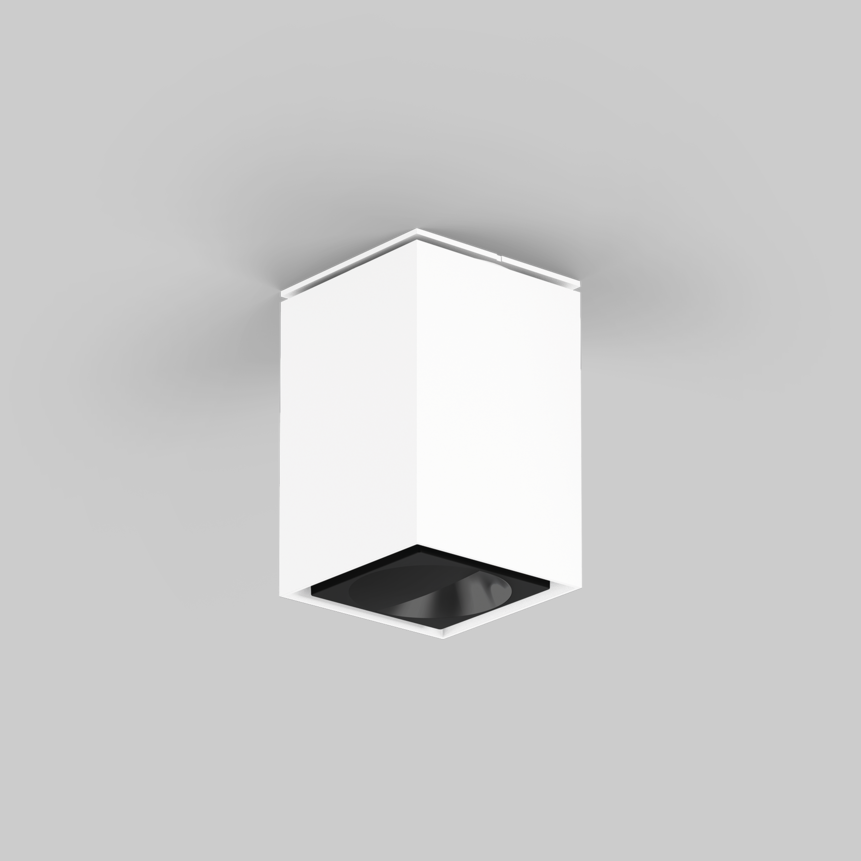 SASSO 60 square wallwasher ceiling