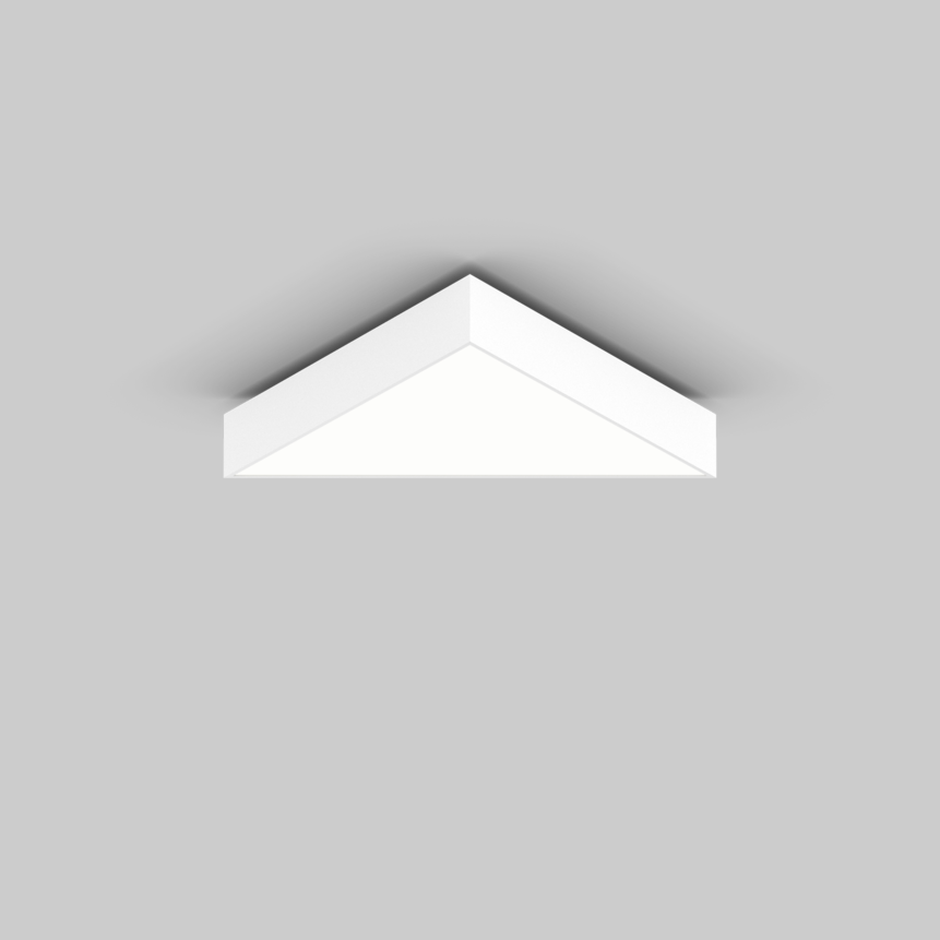 TRIG-O 750 ceiling