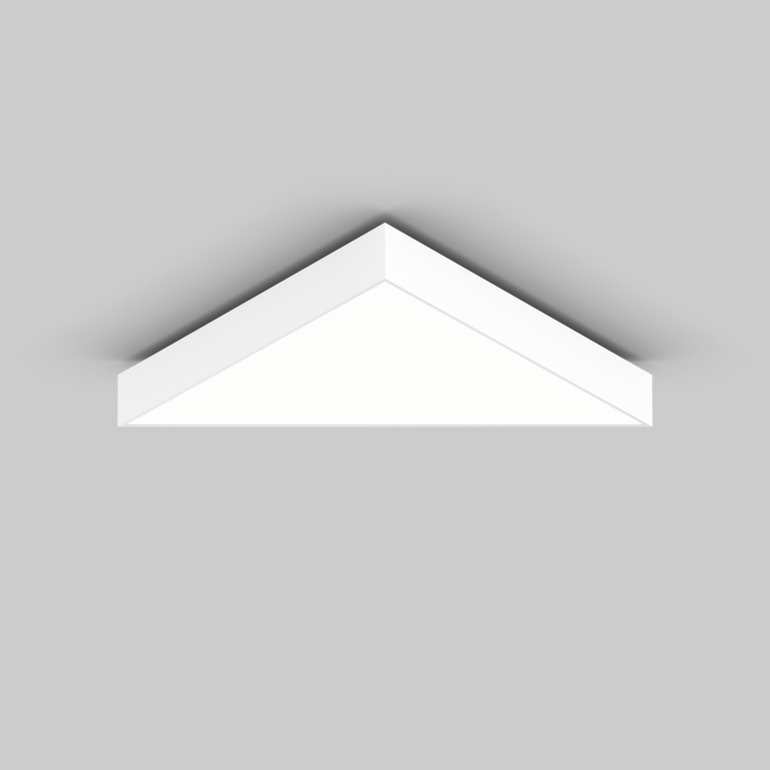 TRIG-O 1000 ceiling
