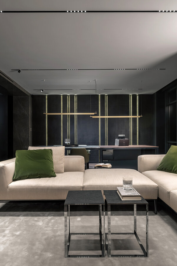 Masculine Interior