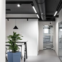 has-to-be-Gmbh