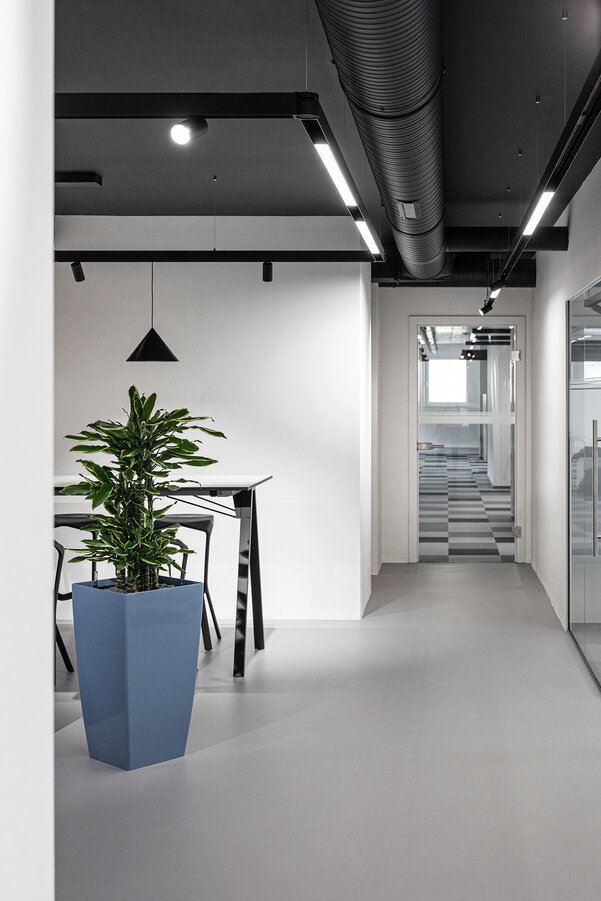 has-to-be-Gmbh