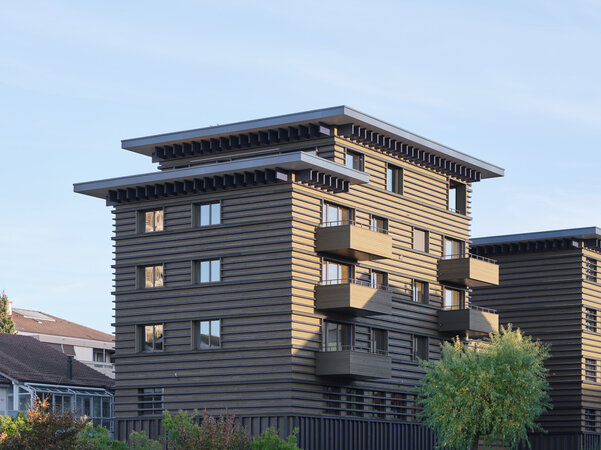 Haus des Holzes