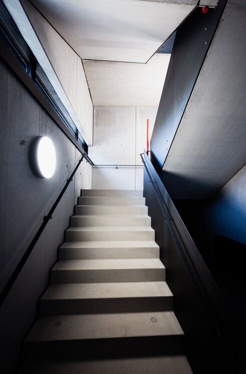 VAN DEER-Red Bull Sports