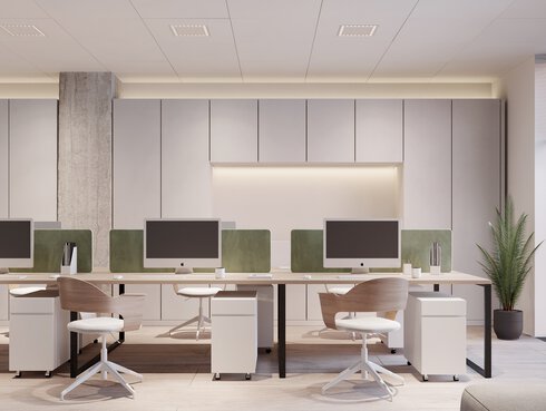 Visualisation minimalist open office