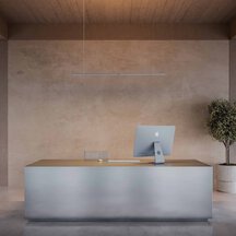 Visualisation minimalist reception