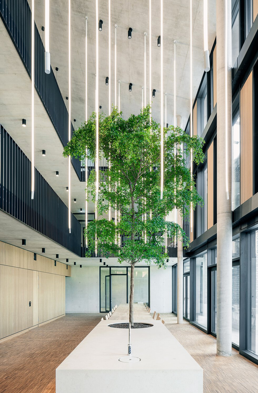 JANE - The Light Jungle - Luminaire | XAL