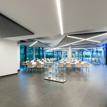 Bauer Group