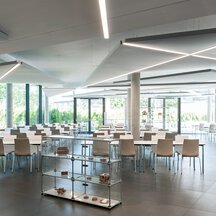 Bauer Group