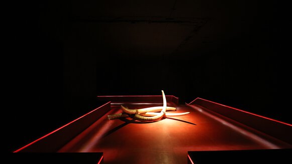 DEUTSCHES ELFENBEINMUSEUM