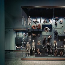 HESSISCHES LANDESMUSEUM